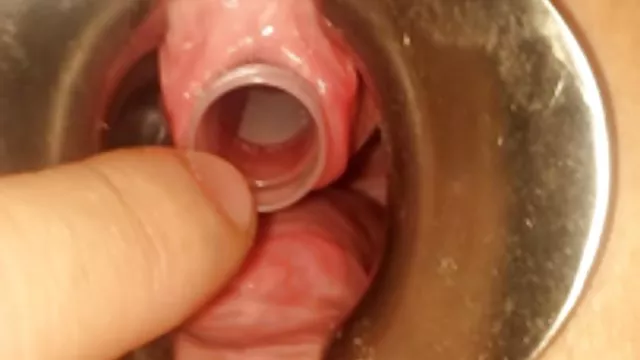 الإباحية بدون تسجيل رائعة تحميل مقاطع سكس مترجم ساقطة