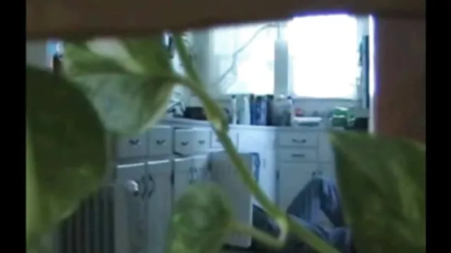 الإباحية بدون تسجيل لعنة مقاطع سكس مترجم اجنبي الحب